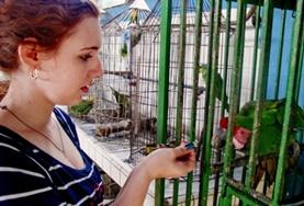 Volunteer Veterinary Medicine & <br /> Animal Care Volunteer Veterinary Medicine & <br /> Animal Care