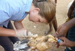 Volunteer India Volunteer India
