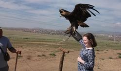 Volunteer holds a hunting eagle in Mongolia