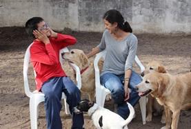 Volunteer Argentina A disabled boy and a Canine Therapy volunteer work together with dogs during a specialised therapy session in Argentina.