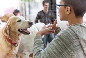 Volunteer Care A child interacts with a dog on a Canine Therapy placement in Bolivia