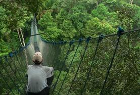 Volunteer Peru A volunteer sits on a tree canopy walkway during a wildlife survey at our Conservation placement in the Amazon, Peru.