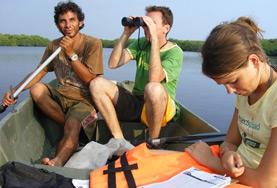 Volunteer Mexico Conservation volunteers and local staff from a rescue and rehabilitation centre survey the wildlife around a lagoon in Mexico.