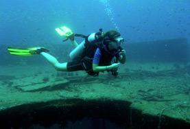 Projects Abroad Conservation & Environment placements Conservation & Environment projects overseas