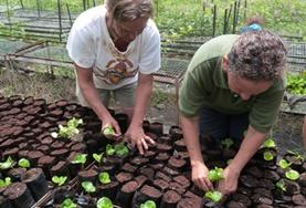 Volunteer Ecuador Two older volunteers tend to seedlings in a tree nursery to help with reforestation efforts on our Conservation & Community Grown-up Special in Ecuador.