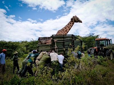 Conservation in Kenya High School Special | Projects Abroad