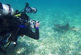 Volunteer Conservation & Environment A High School Special volunteer on a scuba dive at a placement in Belize